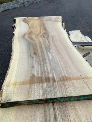 solidwood-resort-Goetterbaum_04.jpg