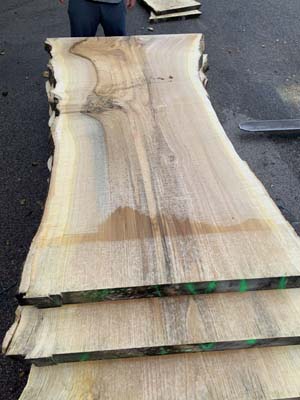 solidwood-resort-Goetterbaum_05.jpg