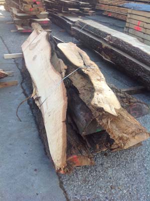 solidwood-resort-Linde_01.jpg