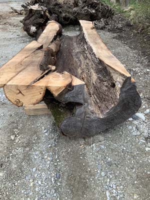 solidwood-resort-Linde_19.jpg